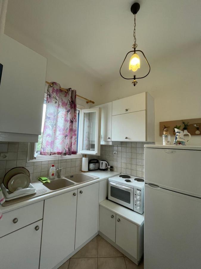 Villa Gelly'S Studios Alikí Buitenkant foto